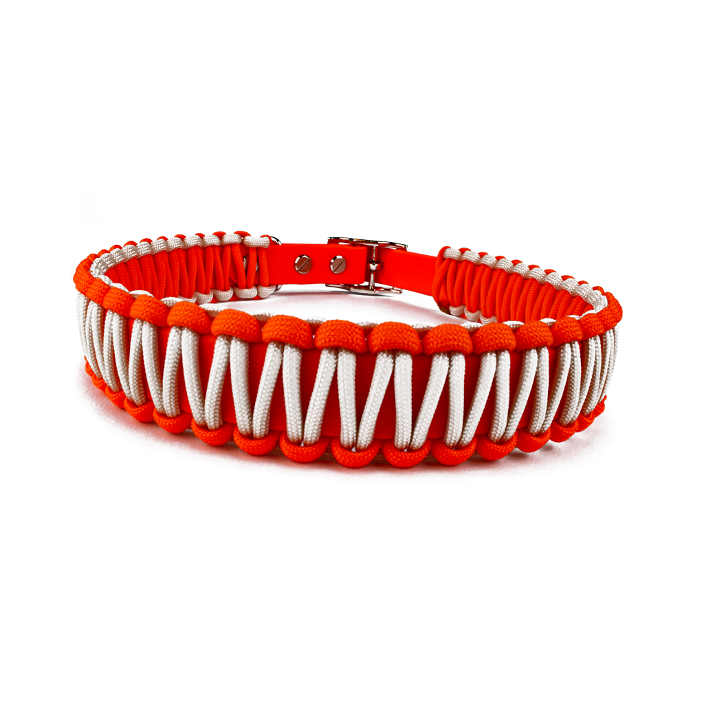Hundehalsband Lori Tierluxe - Handgemacht, Paracord, Biothane