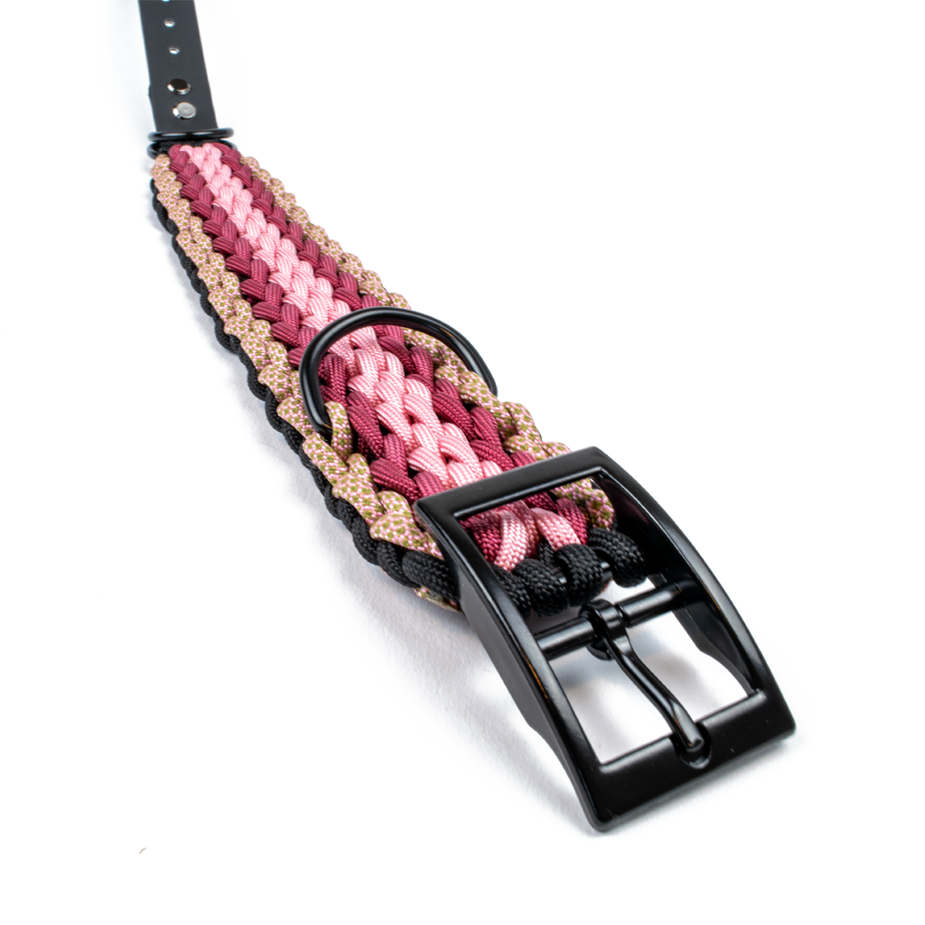 Hundehalsband Tierluxe Natur Handgemacht Paracord