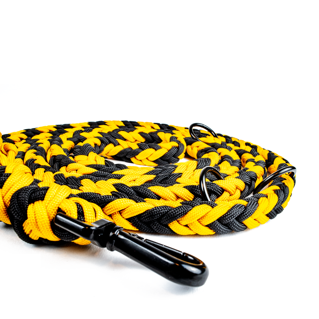 Hundeleine Tierluxe Bienenkraft Handgemacht Paracord Verstellbare