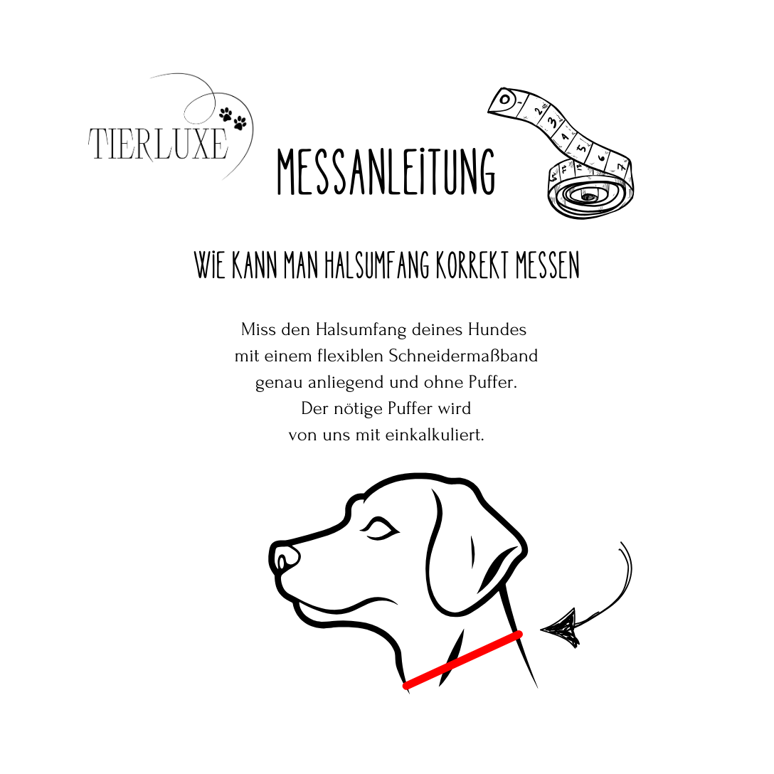 Tierluxe Klassiker - Premium Leder Hundehalsband