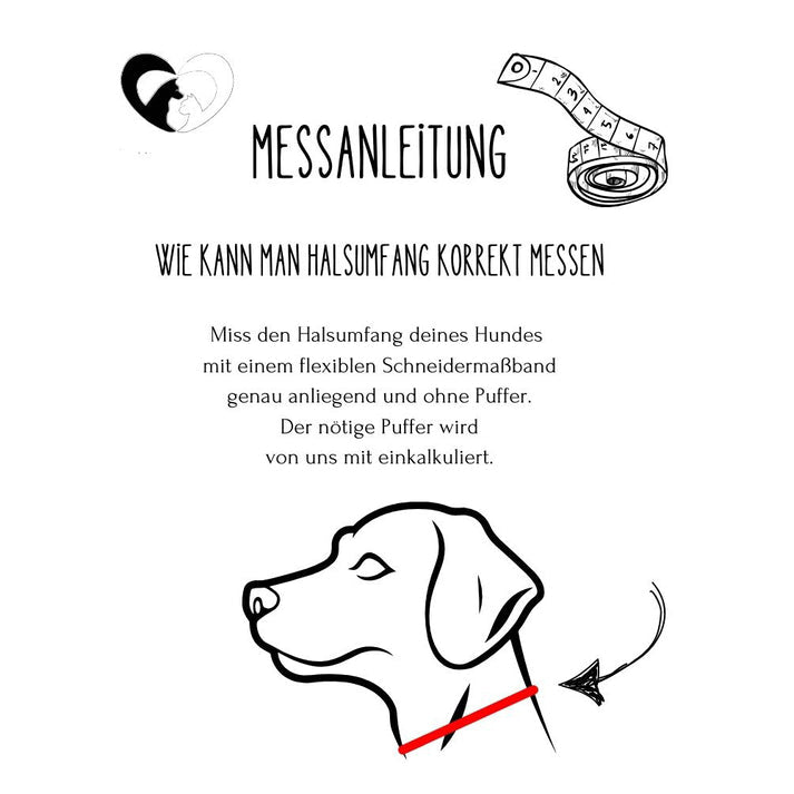 Hundehalsband Tierluxe Foxy Handgemacht Paracord Biothane