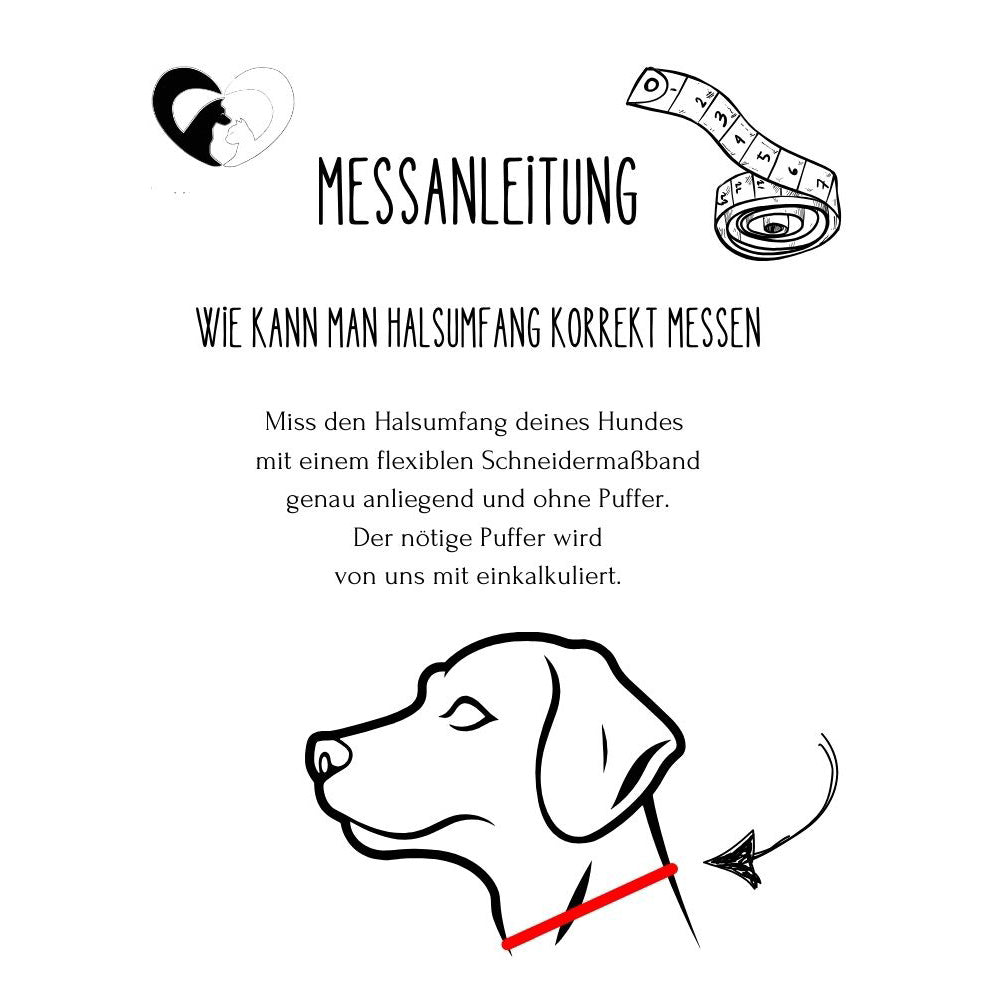 Hundehalsband Tierluxe Bienenkraft Handgemacht Paracord Schnellverschluss