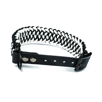 Hundehalsband Tierluxe Historisch Handgemacht Paracord Biothane