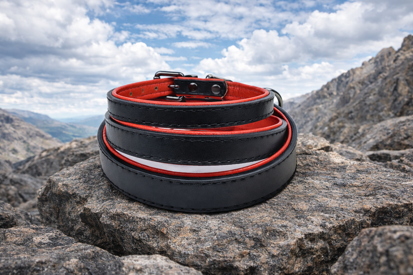 Tierluxe Klassiker - Premium Leder Hundehalsband