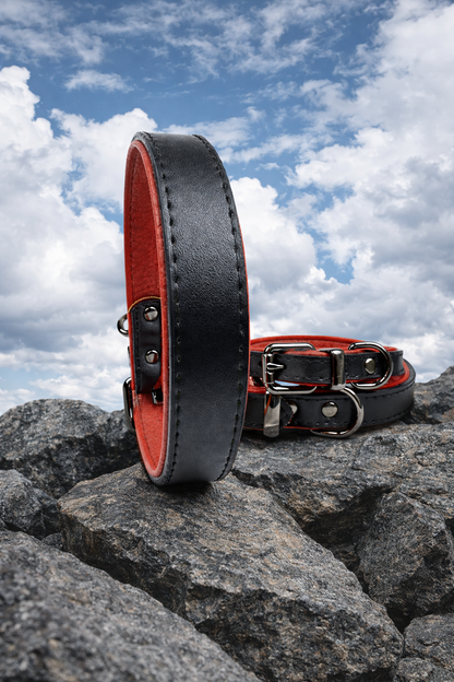 Tierluxe Klassiker - Premium Leder Hundehalsband