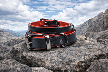 Tierluxe Klassiker - Premium Leder Hundehalsband