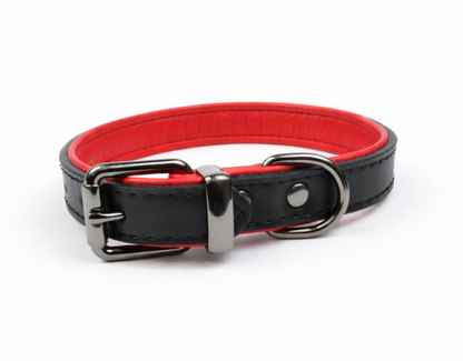 Tierluxe Klassiker - Premium Leder Hundehalsband