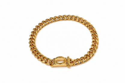 Luxus Hundehalsband Tierluxe Royal Chain – Goldene Edelstahlkette für Hunde