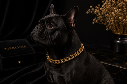Luxus Hundehalsband Tierluxe Royal Chain – Goldene Edelstahlkette für Hunde