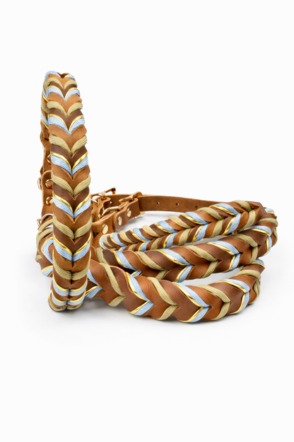 Tierluxe Geflecht Hundehalsband – Geflochtenes Lederhalsband mit Paracord