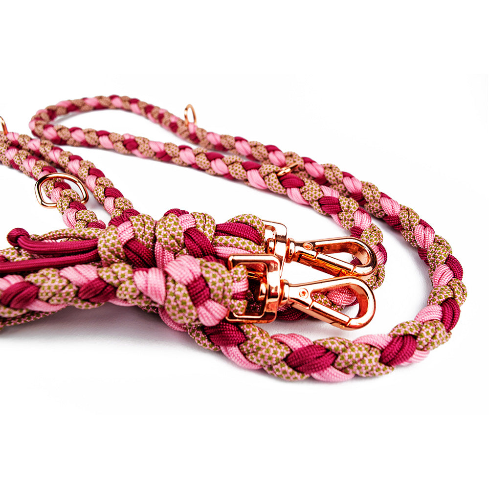 Hundeleine von Tierlux, Modell Foxy, geflochten aus drei verschiedenen Farben Paracord. Die Leine hat drei metallene D-Ringe und zwei Schnallen in roségoldener Farbe, mit denen sie dreistufig eingestellt werden kann. Es wurde von vorne aufgenommen und auf weißem Hintergrund gezoomt.