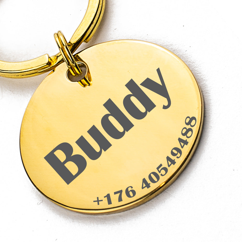 Ein goldener Haustierausweis mit dem Namen “Buddy” und einer Telefonnummer, der an einem Schlüsselring befestigt ist.