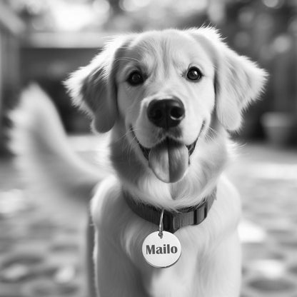 Eine runde Plakette mit dem Namen “Mailo” eingraviert, die an einem Hundehalsband befestigt ist. Das Gesicht des Hundes ist unscharf oder verdeckt.