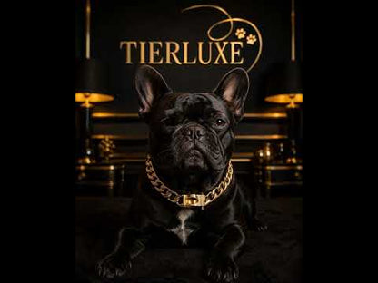 Luxus Hundehalsband Tierluxe Royal Chain – Goldene Edelstahlkette für Hunde