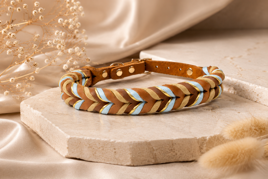 Tierluxe Geflecht Hundehalsband – Geflochtenes Lederhalsband mit Paracord